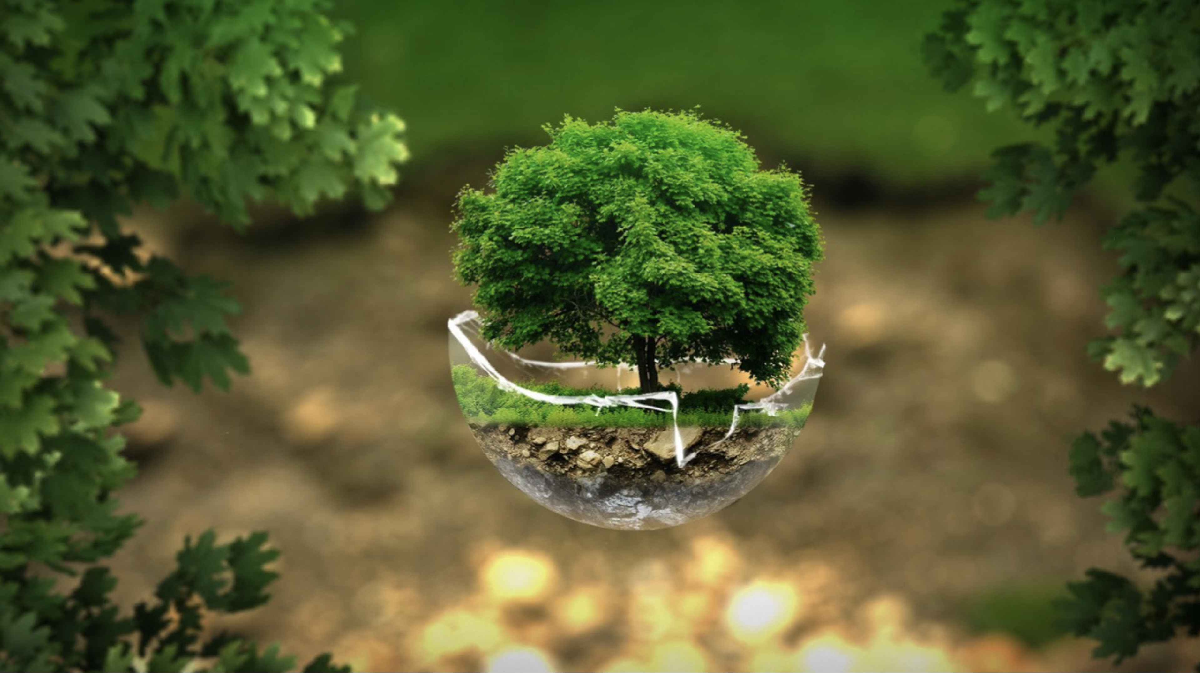 Agriculture, Environnement (Animaux, Développement durable)